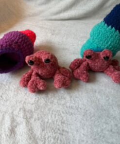 Hermit Crab