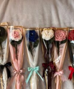 Flower Rose