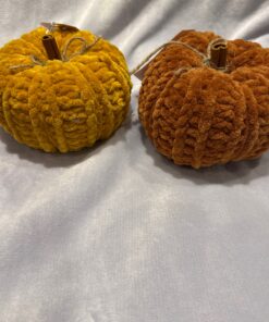 Pumpkin - Medium