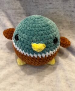 Mallard Duck