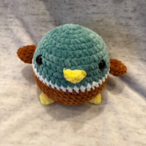 Mallard Duck