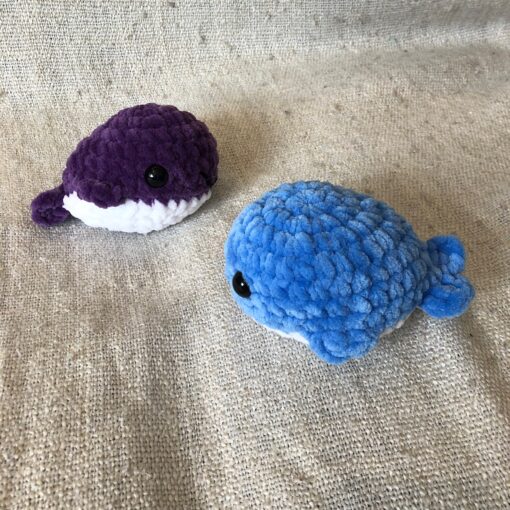 Whale small