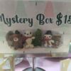 Holiday Mystery Box